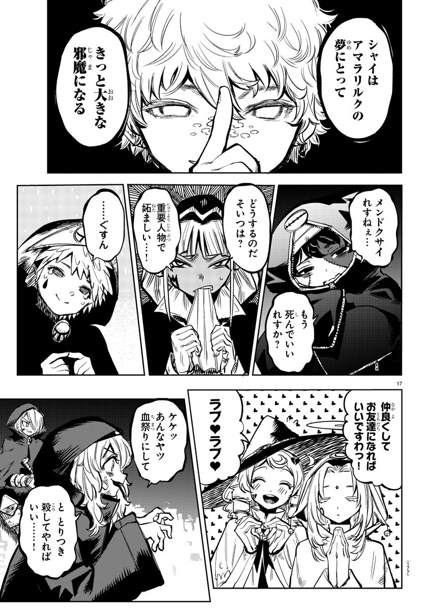 Page 17
