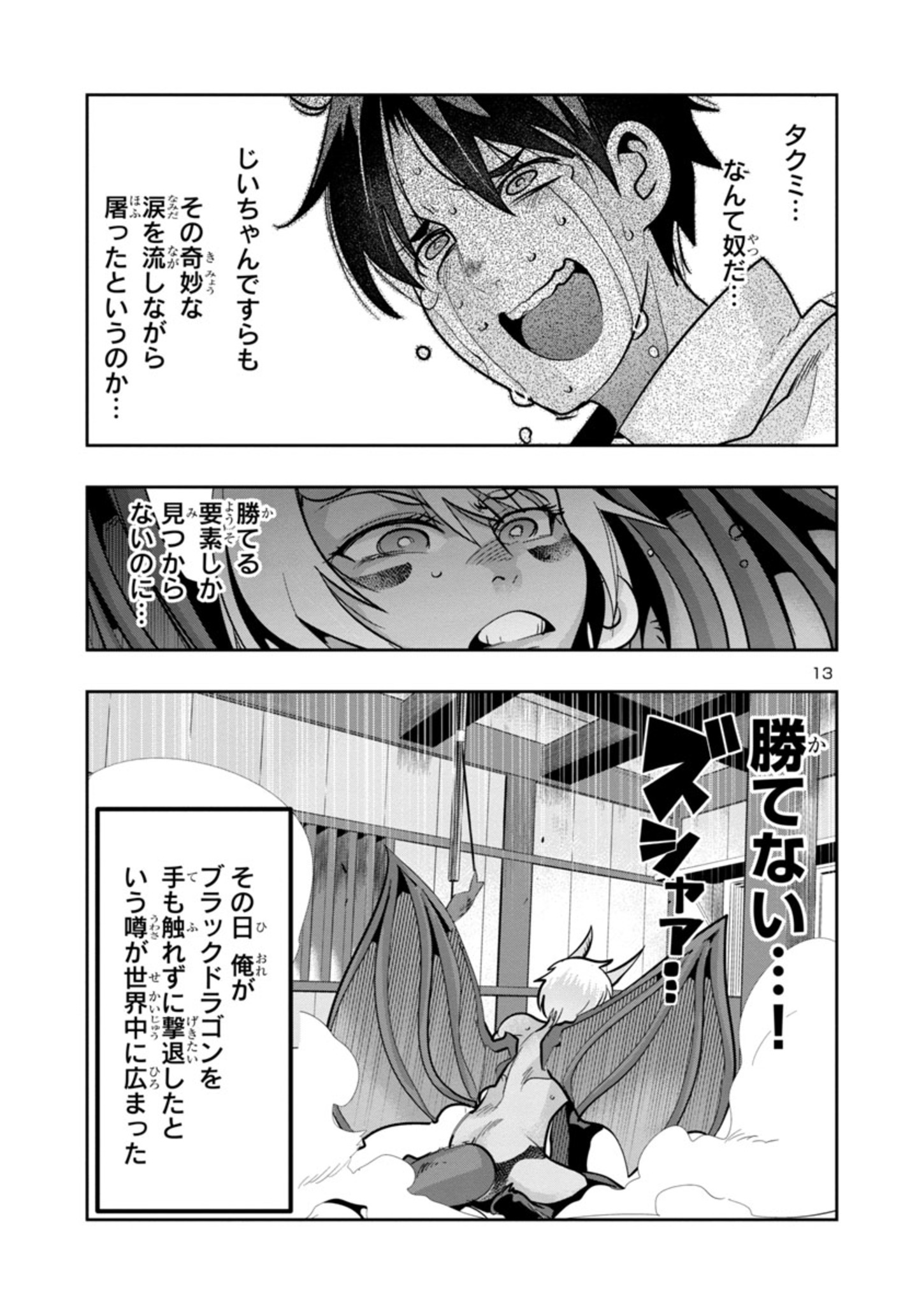 Page 13