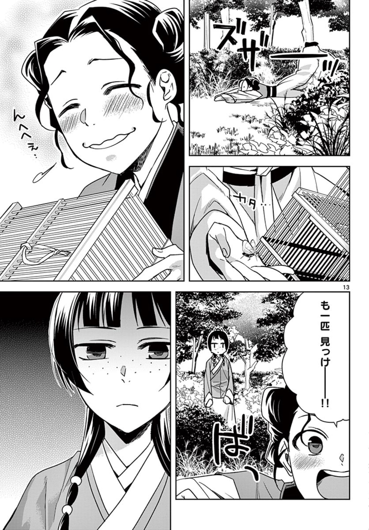 Page 13