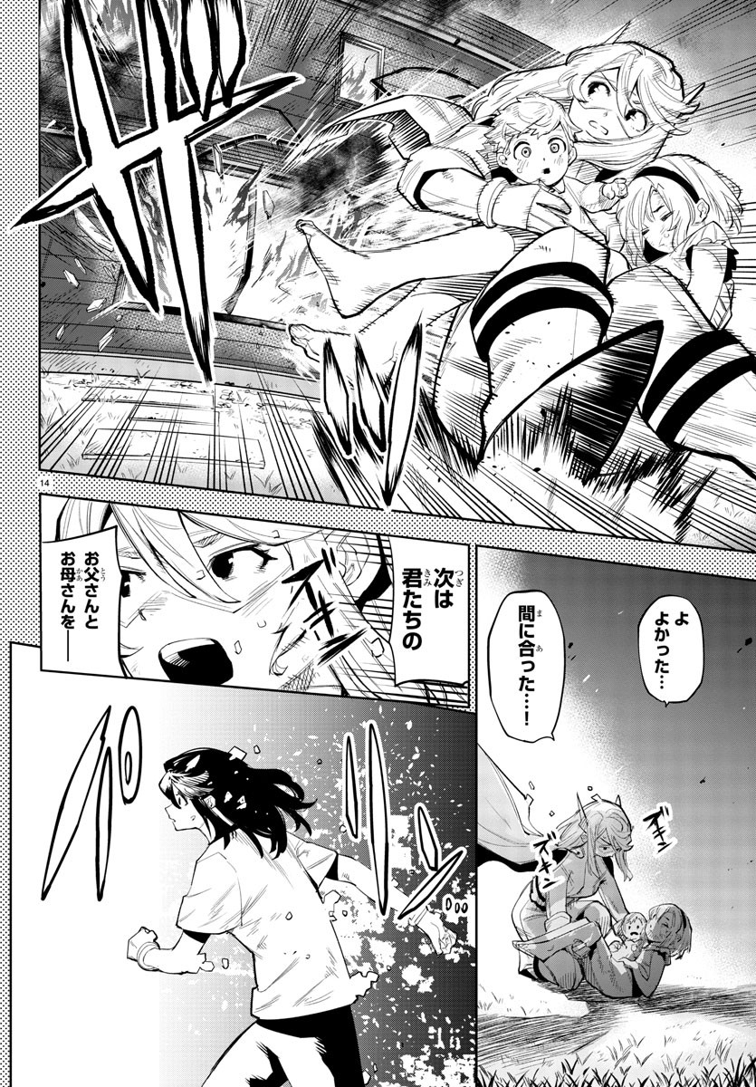 Page 14
