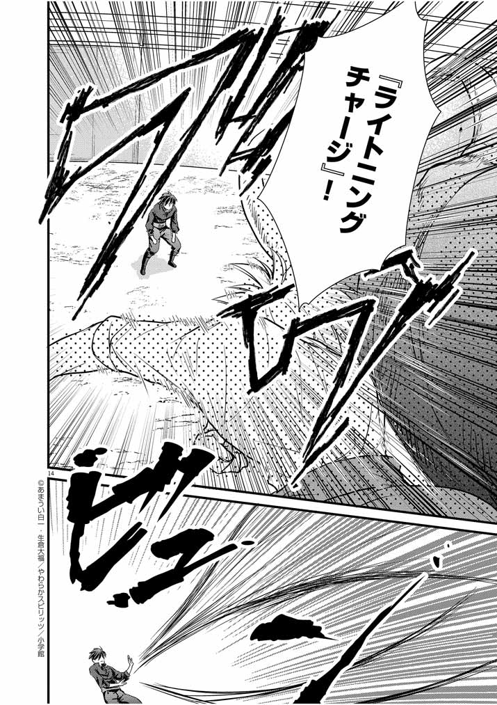 Page 14