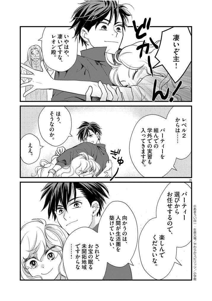 Page 25