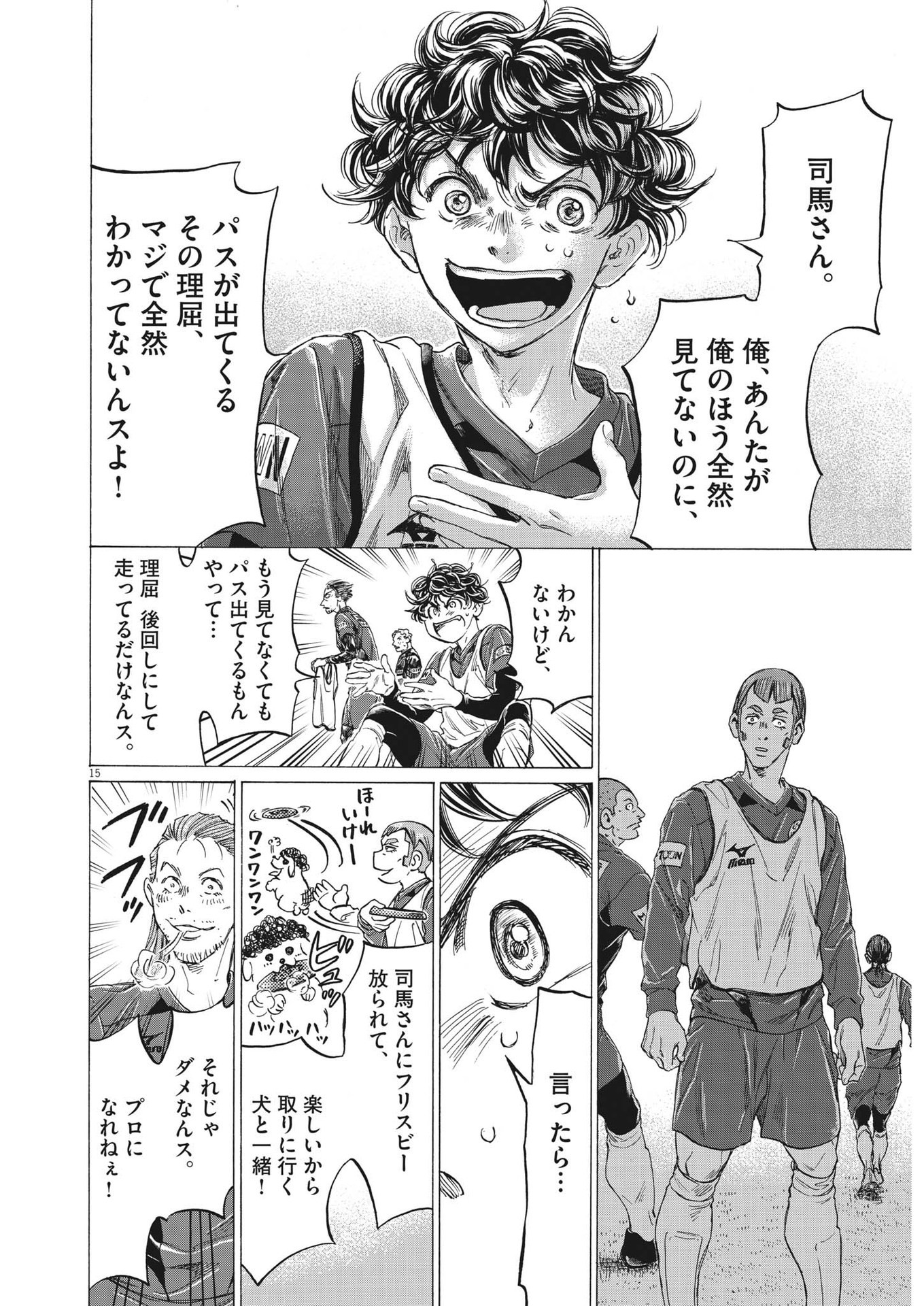 Page 15