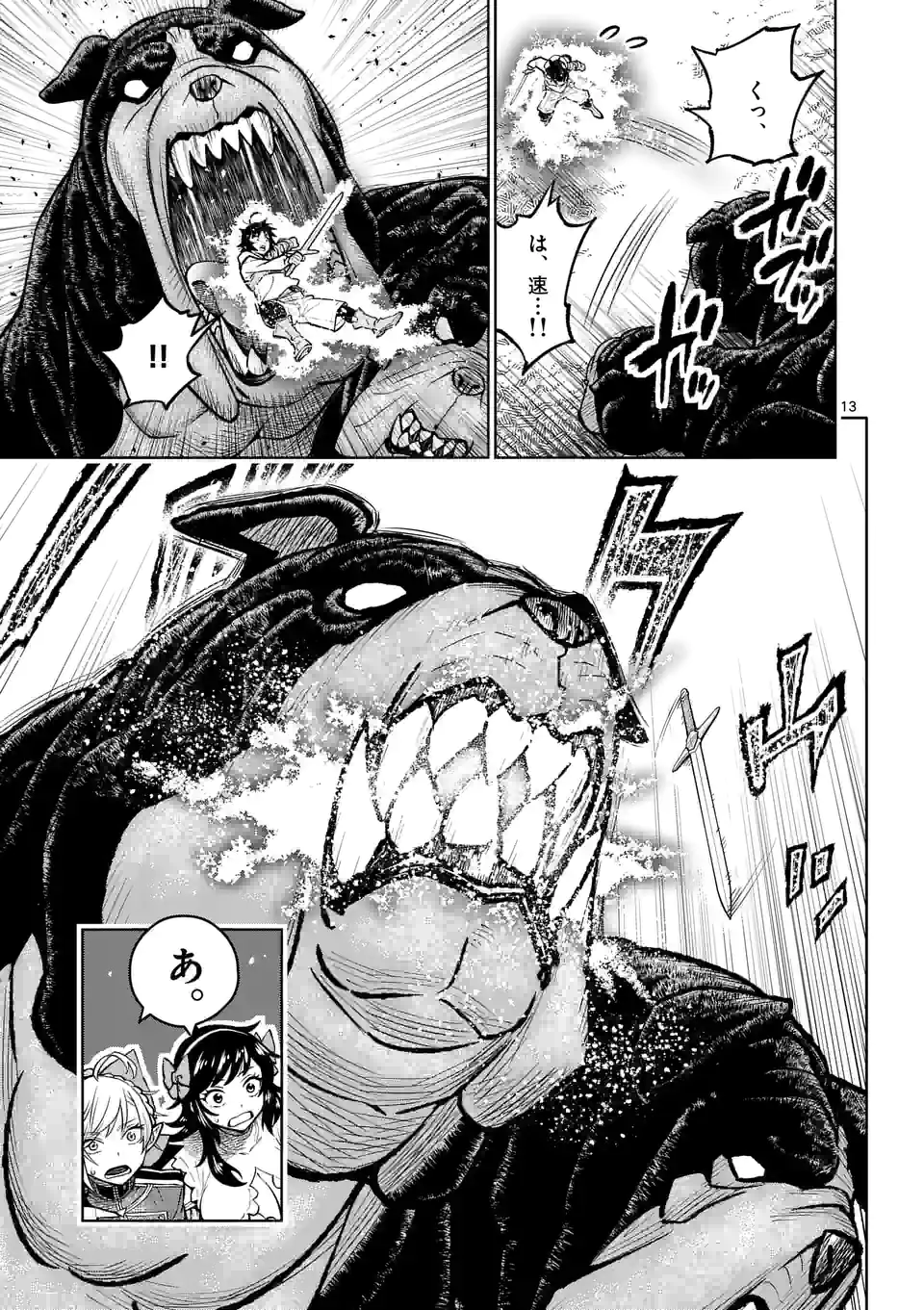 Page 13