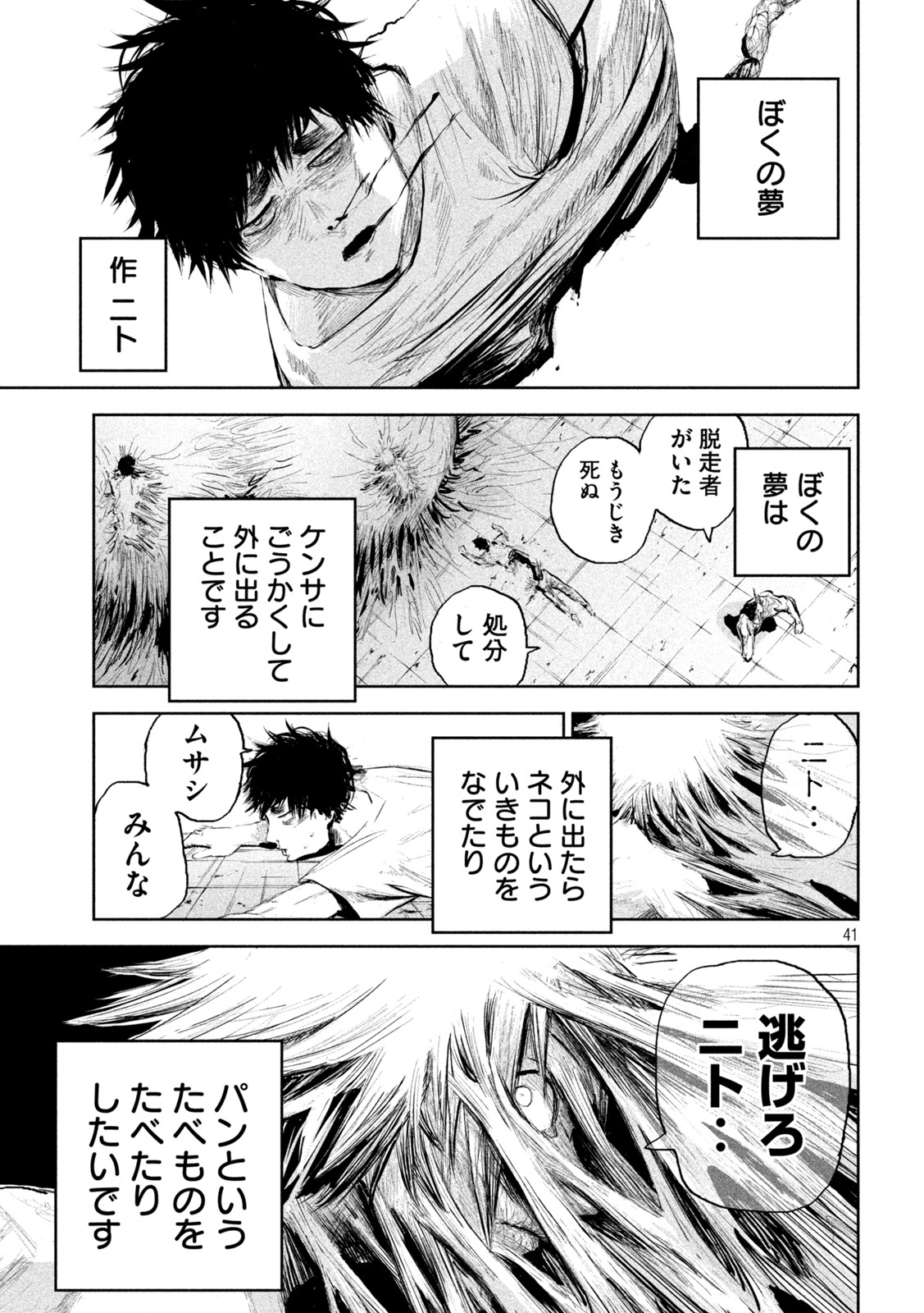 Page 41