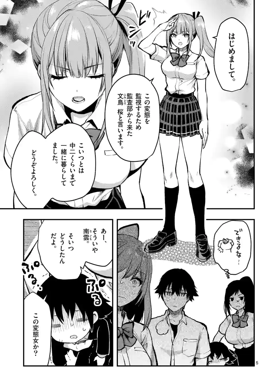 Page 5