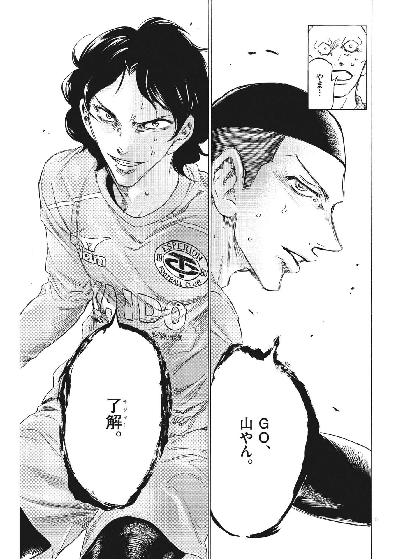 Page 15