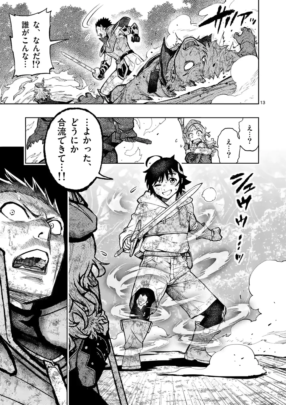 Page 13