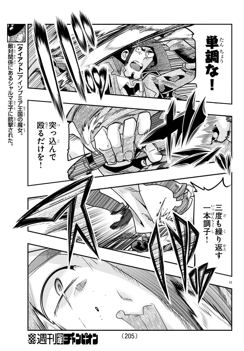 Page 13