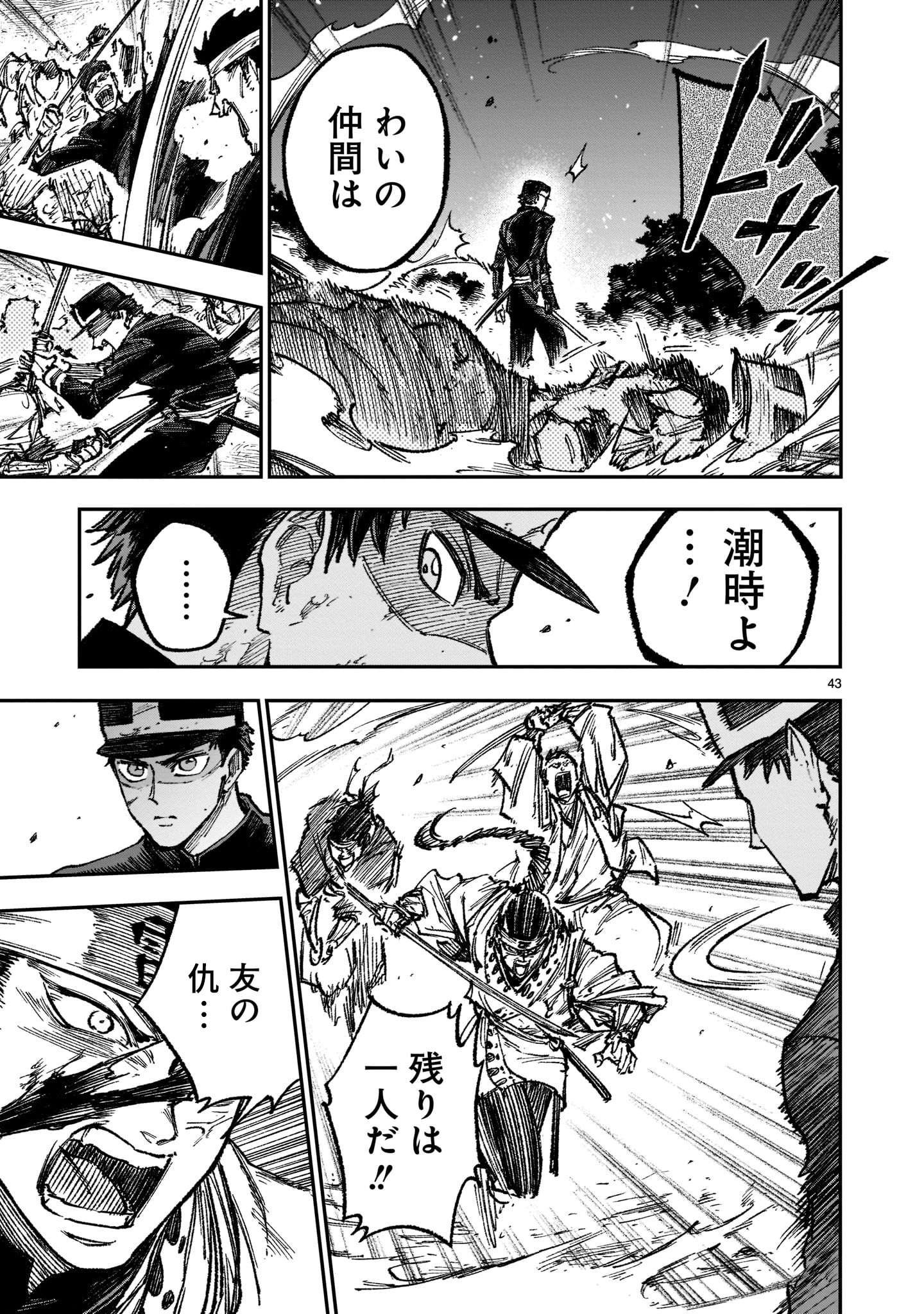 Page 43
