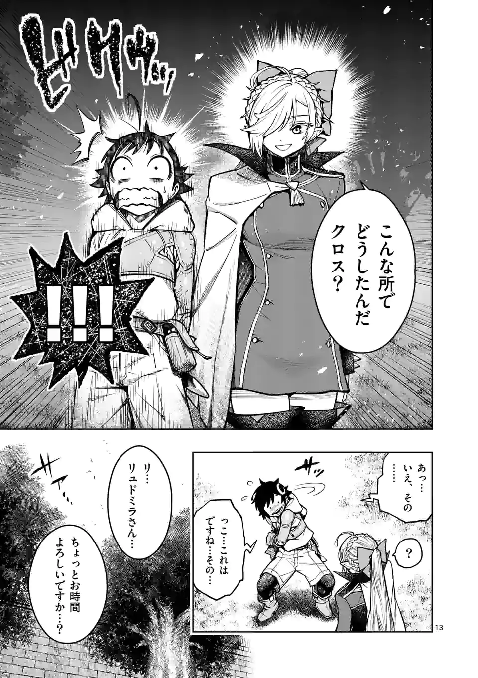 Page 13