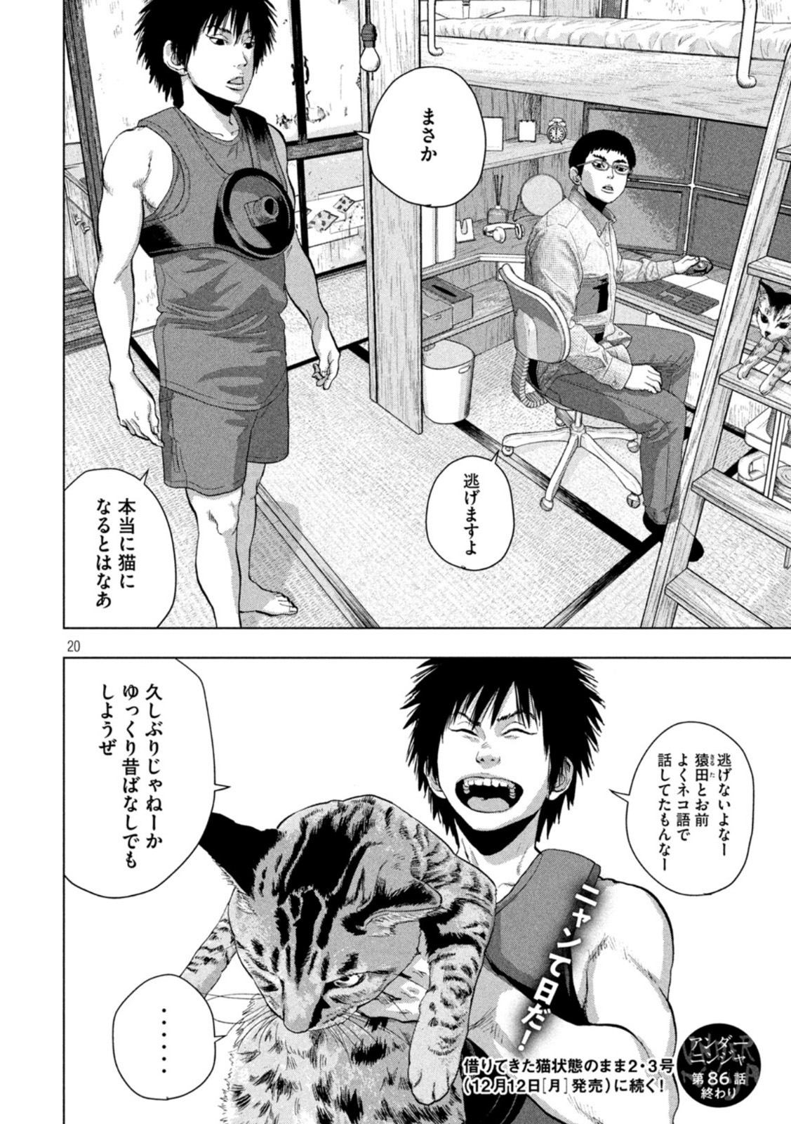 Page 20