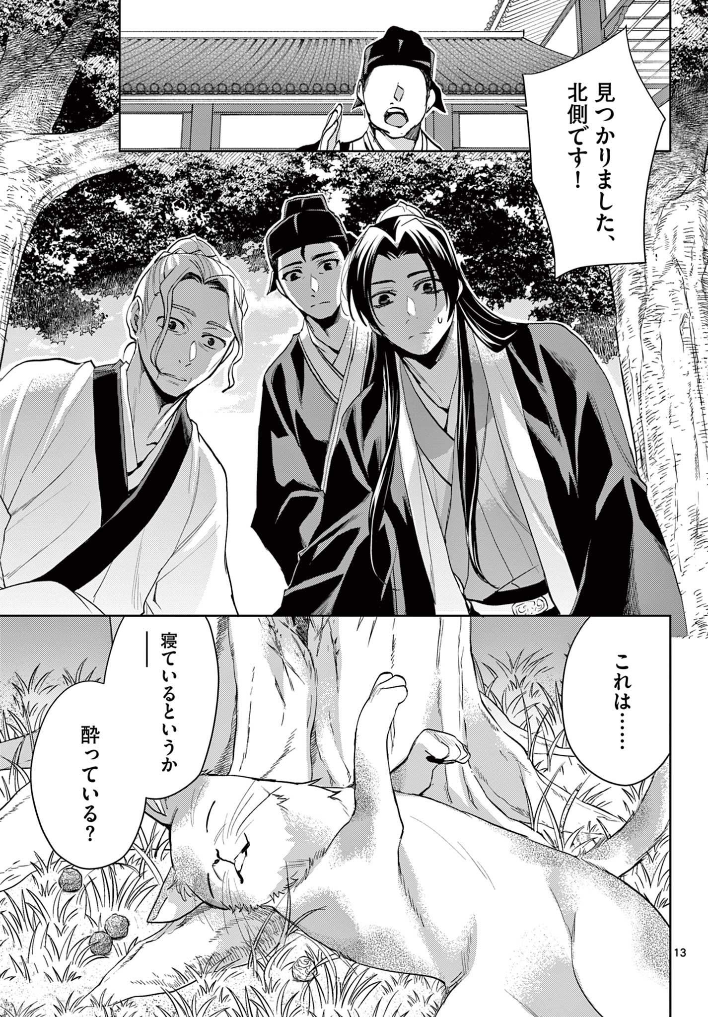 Page 13