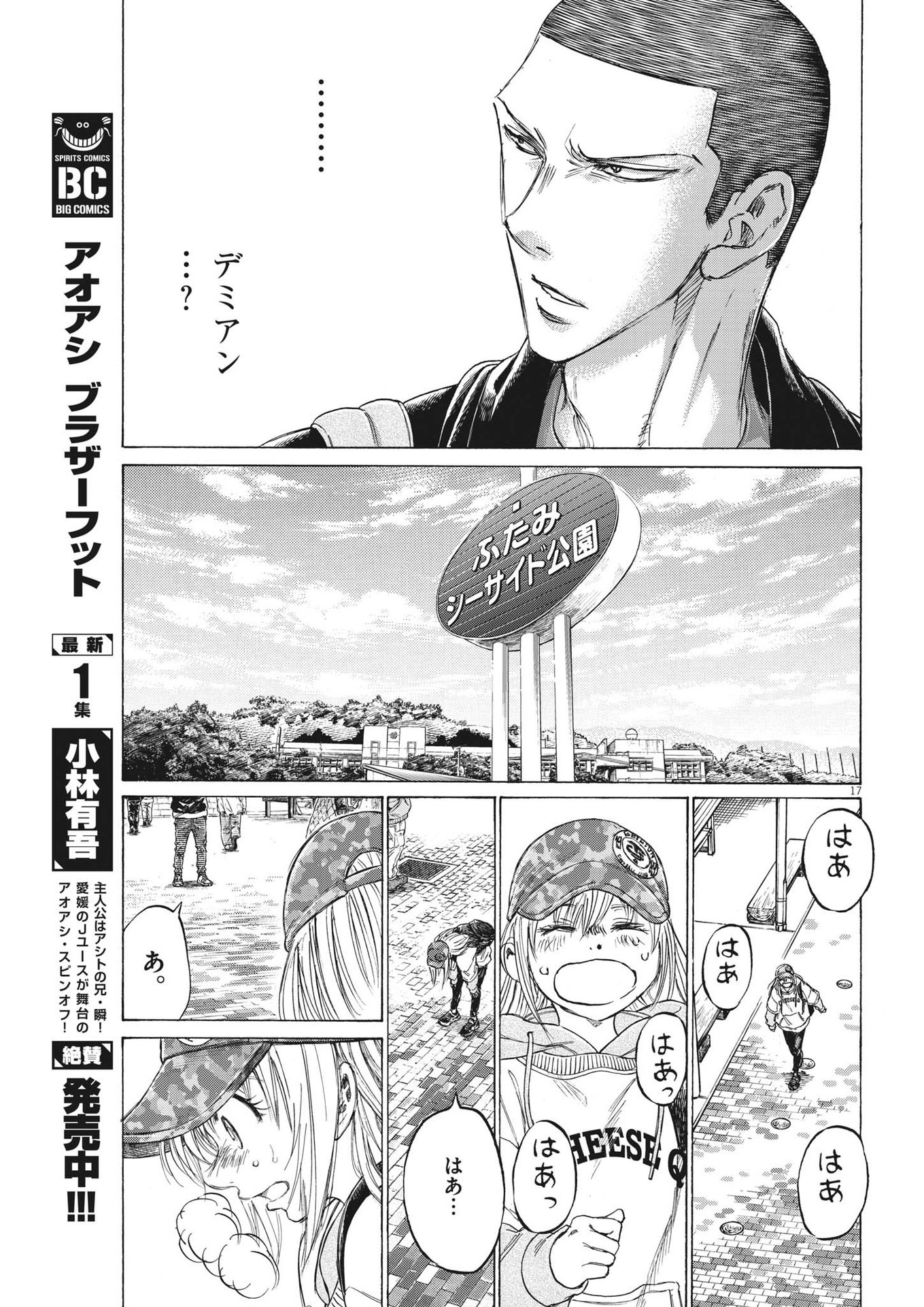 Page 17