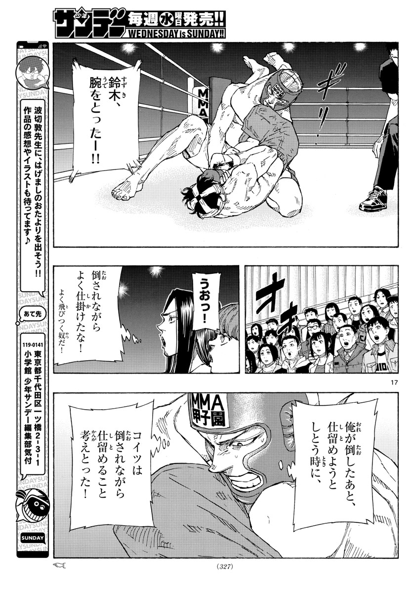 Page 17