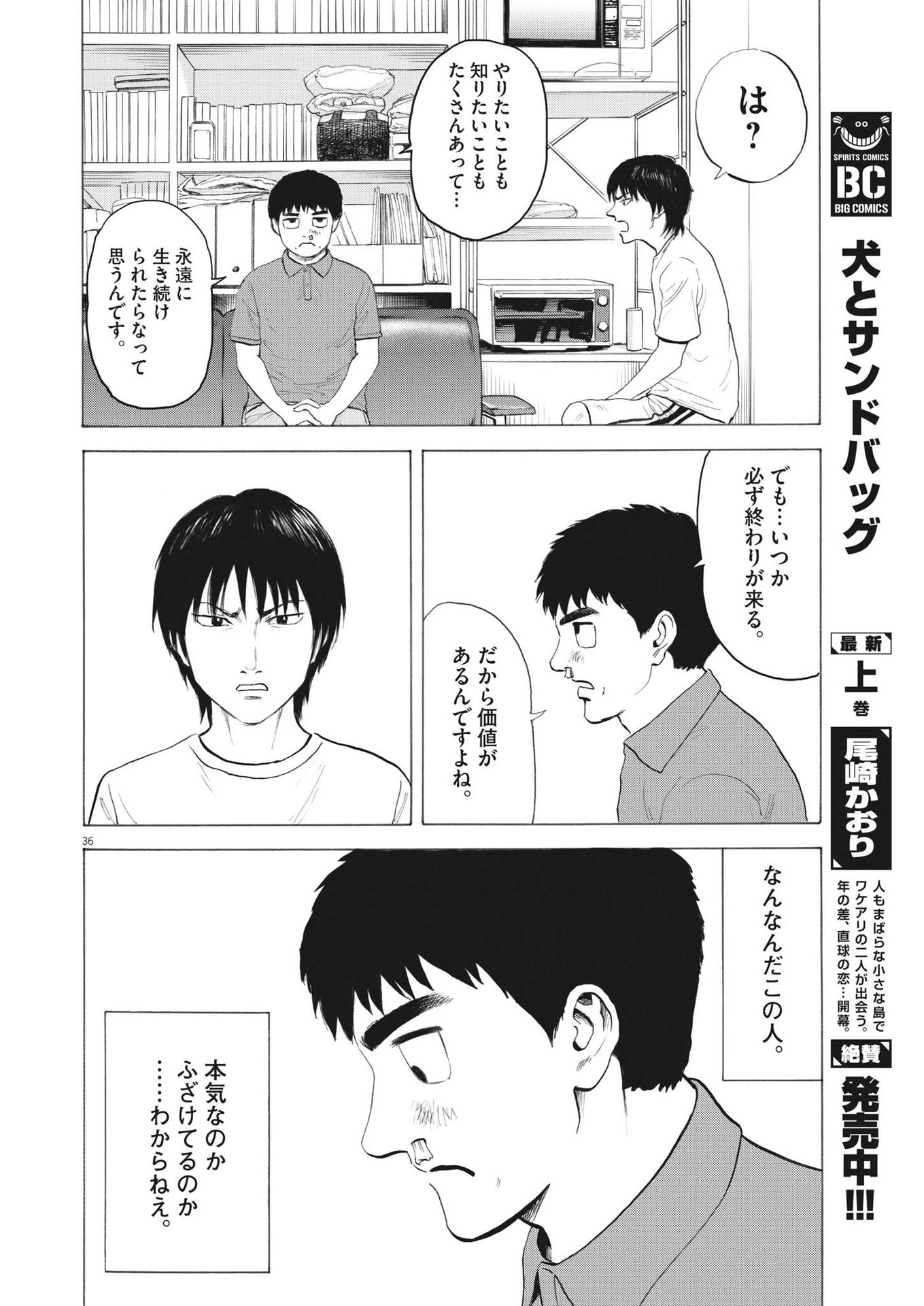 Page 36