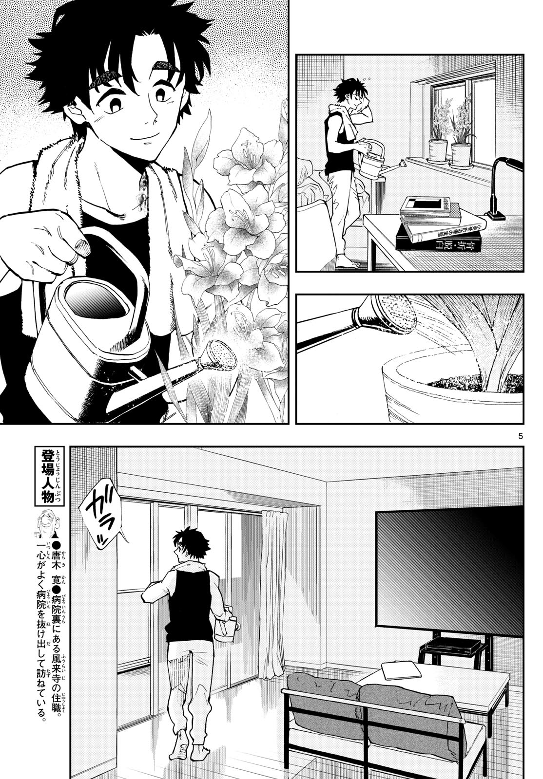 Page 5