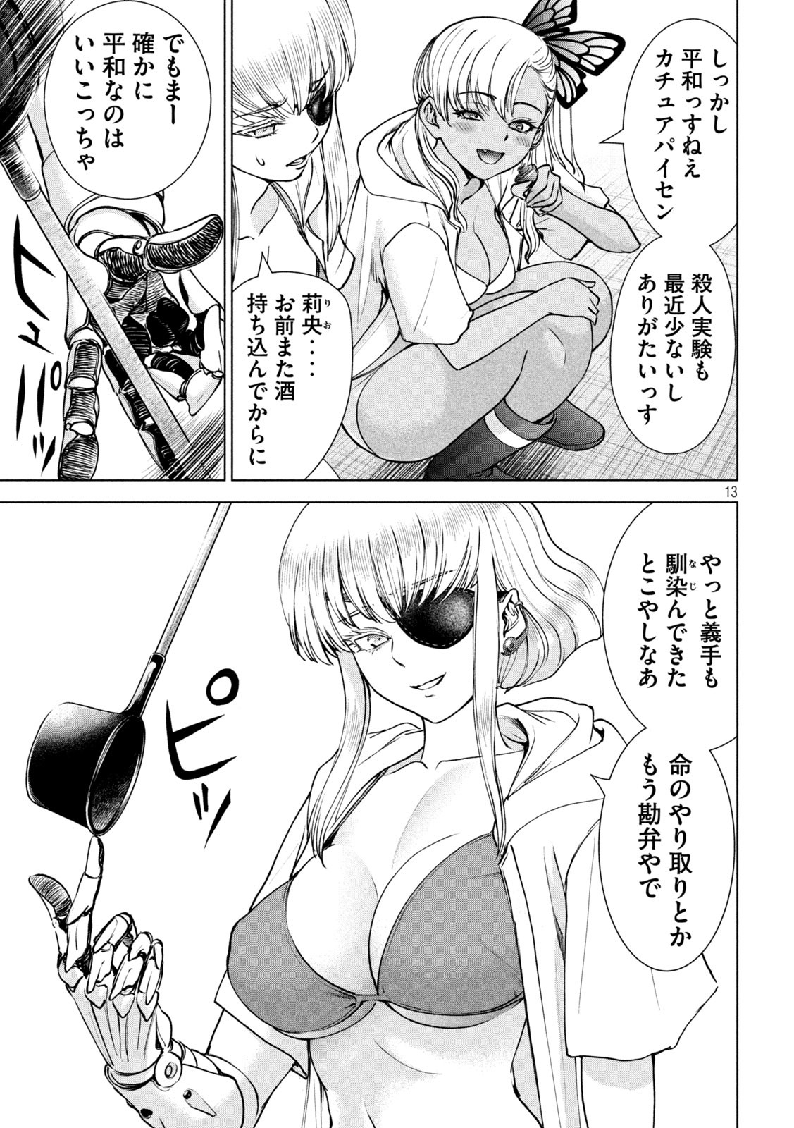 Page 13