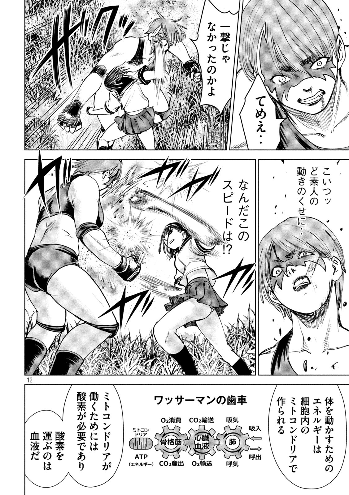 Page 12