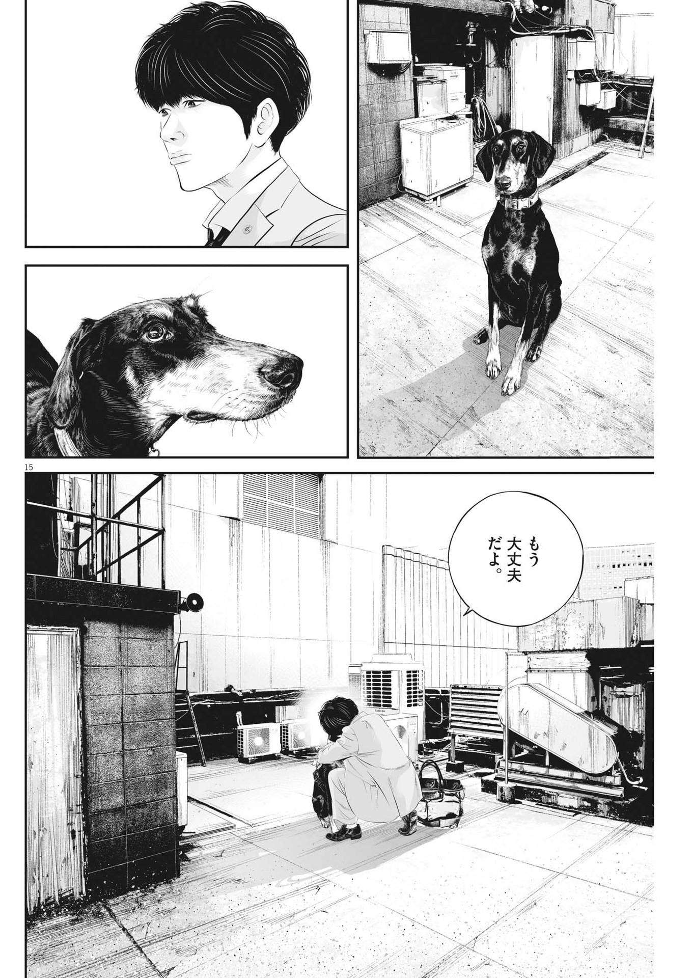 Page 15