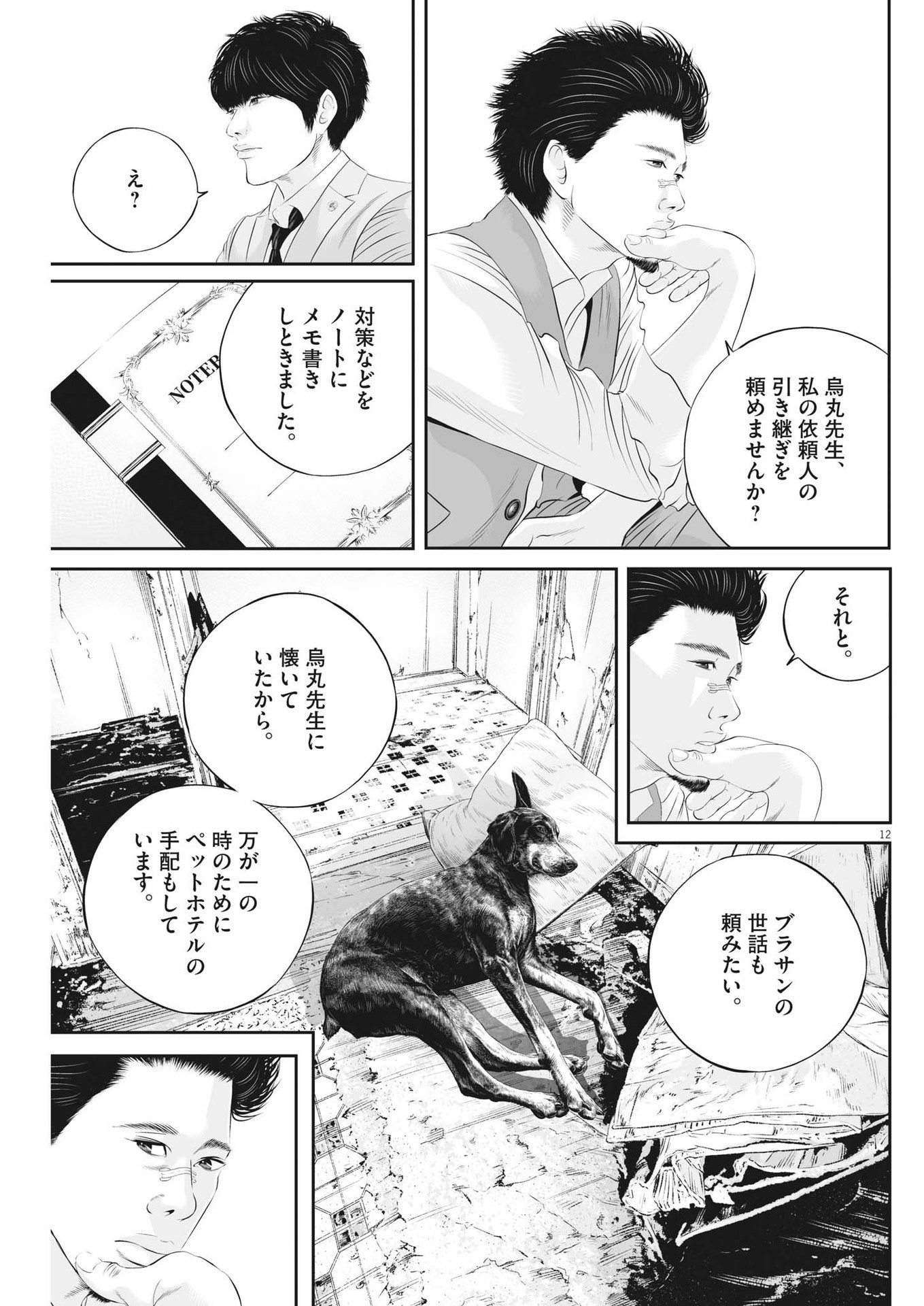 Page 12
