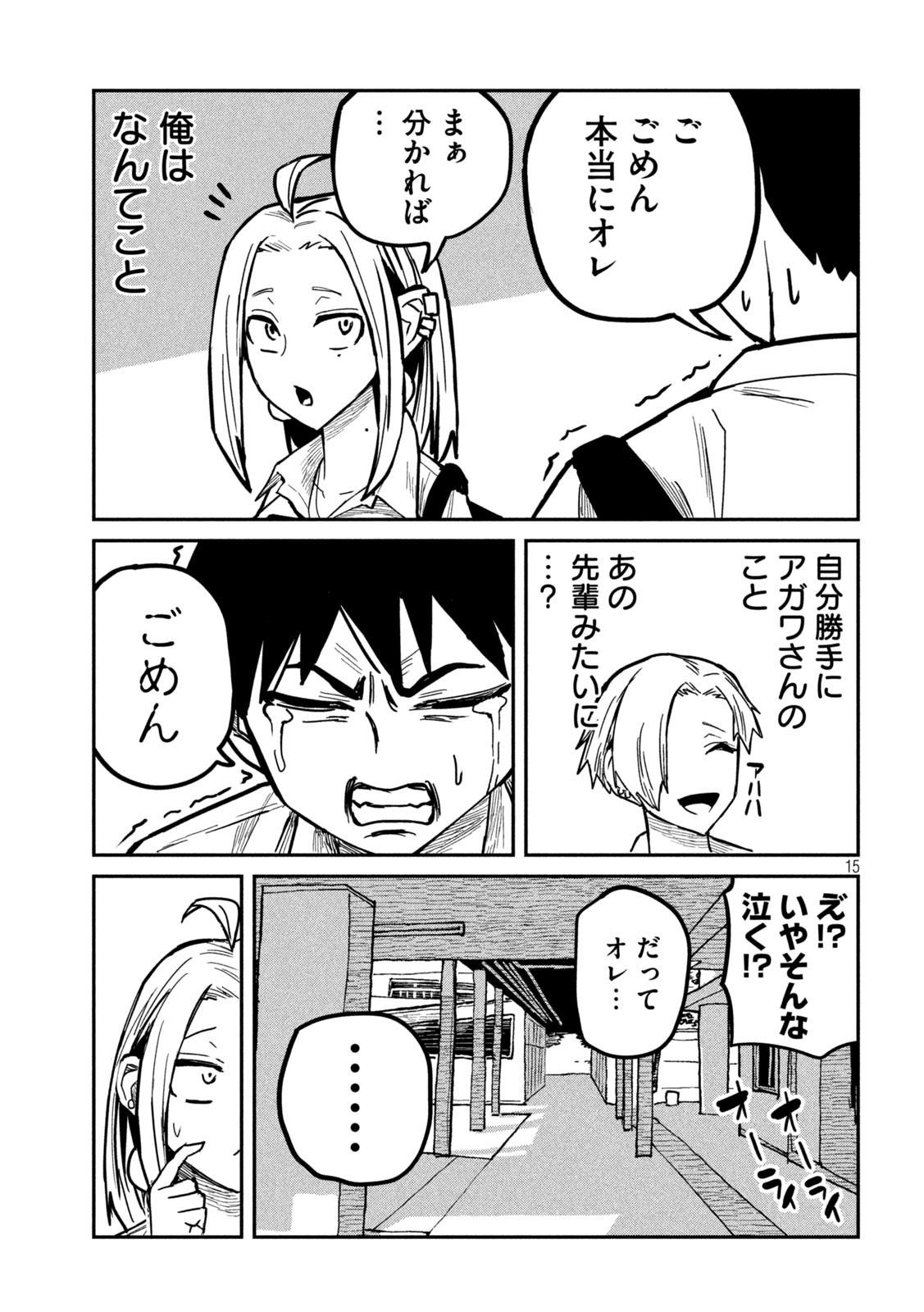Page 15