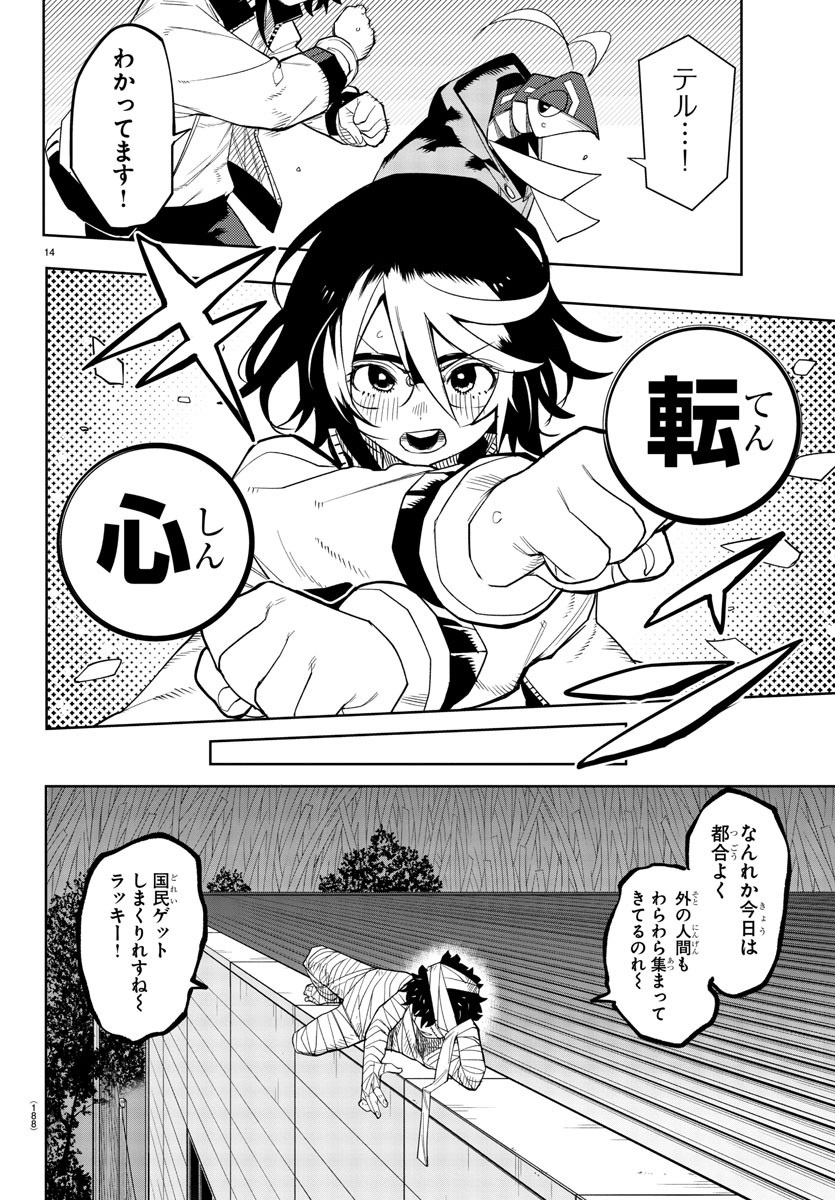 Page 14