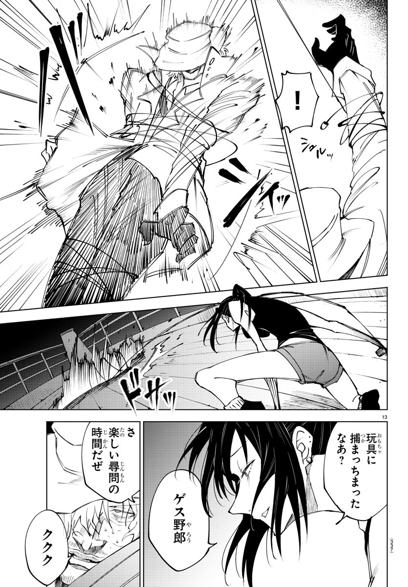 Page 13