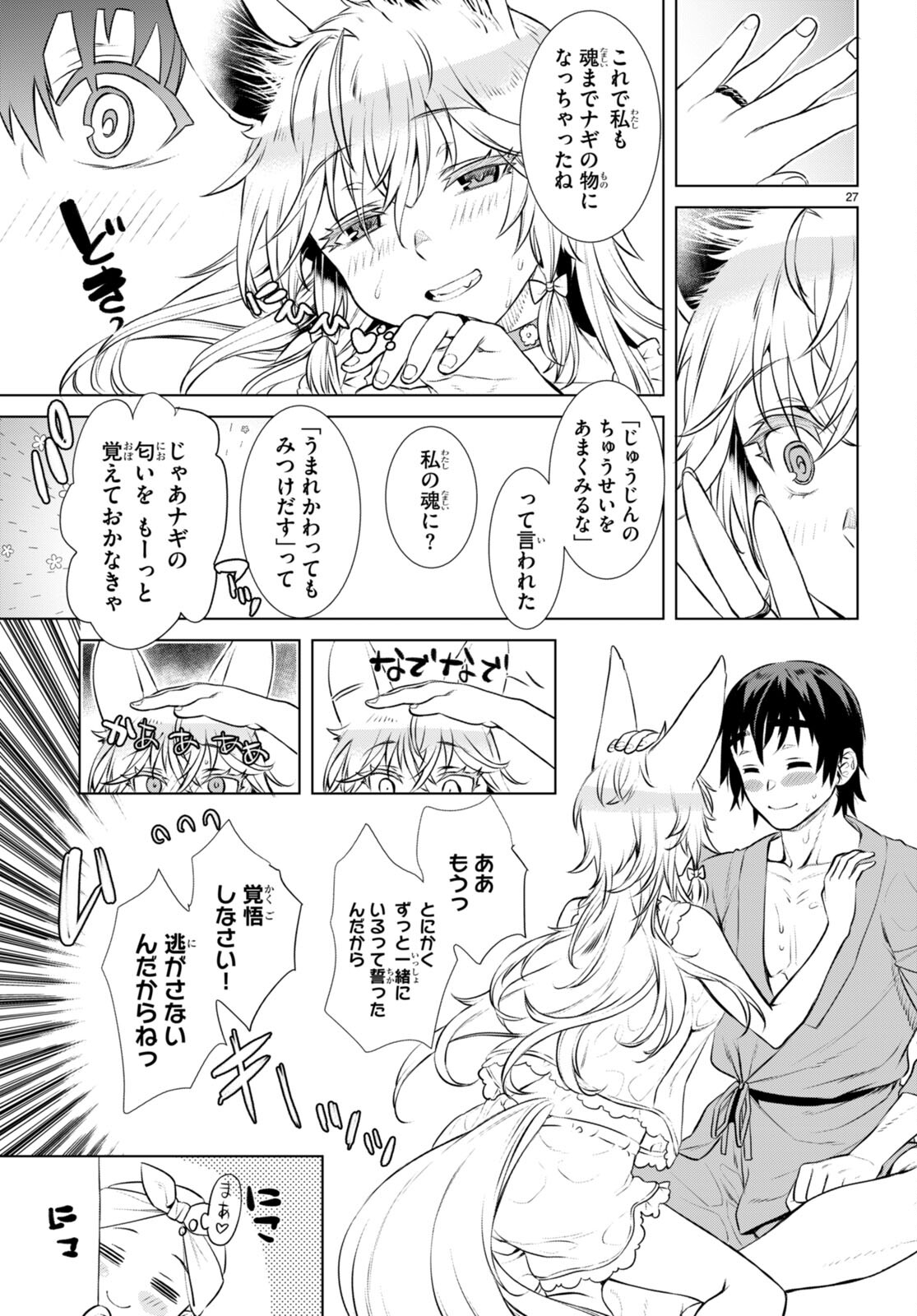 Page 27
