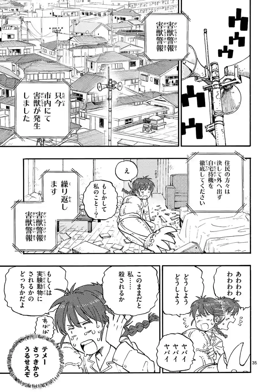 Page 35