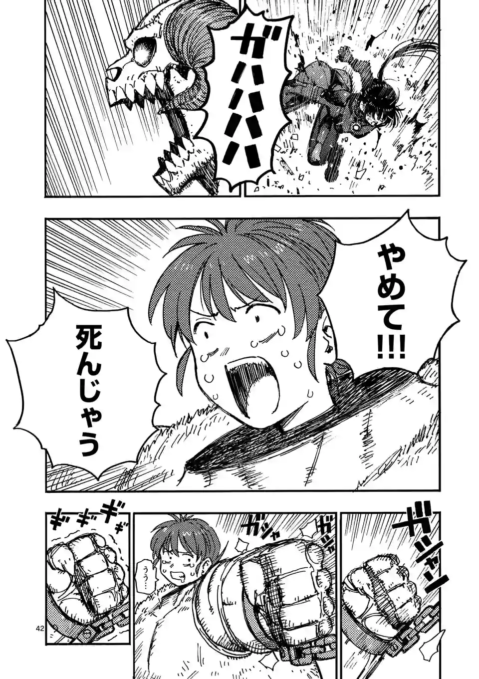 Page 42