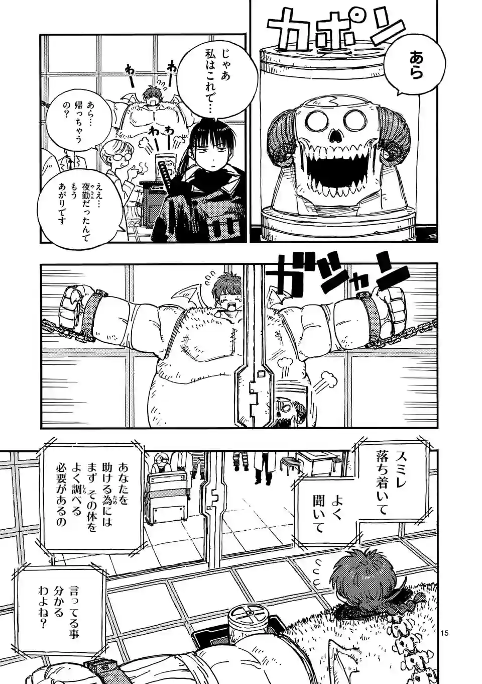 Page 15