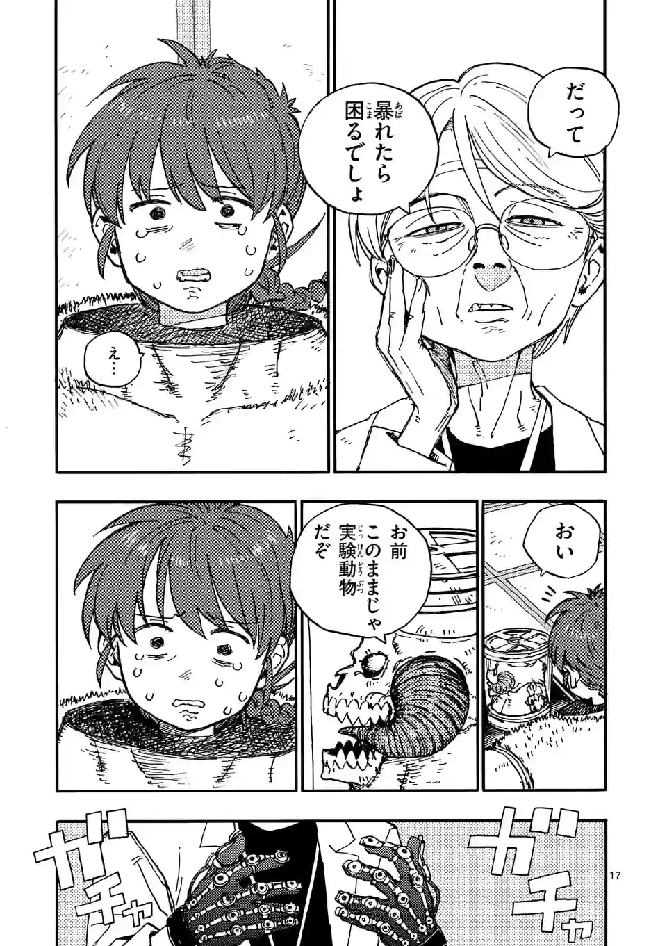 Page 17