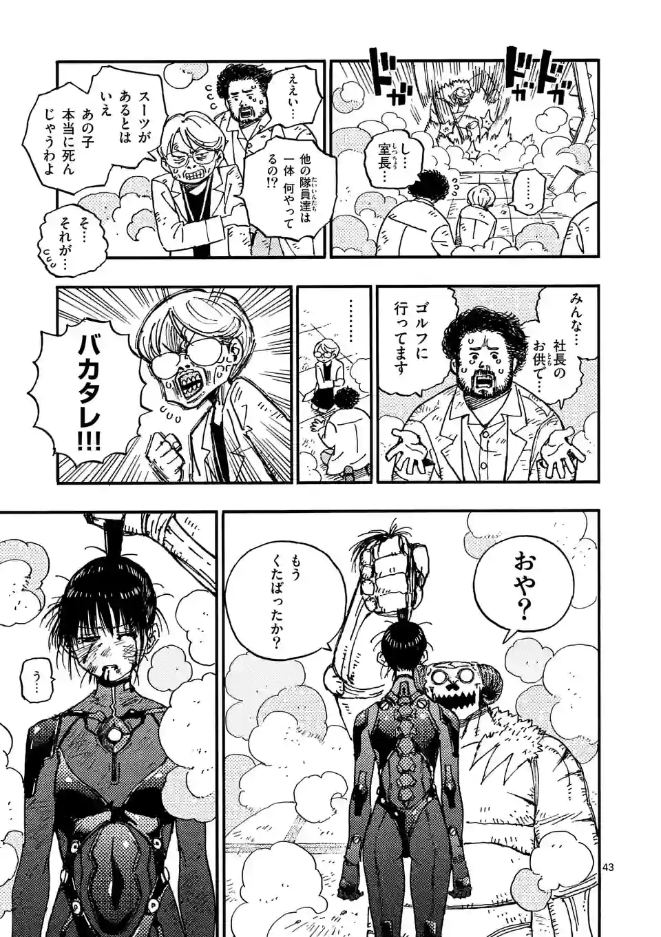 Page 43