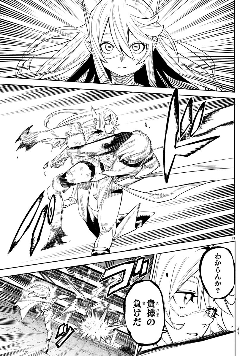 Page 13