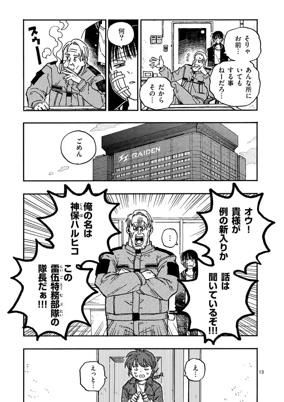 Page 13