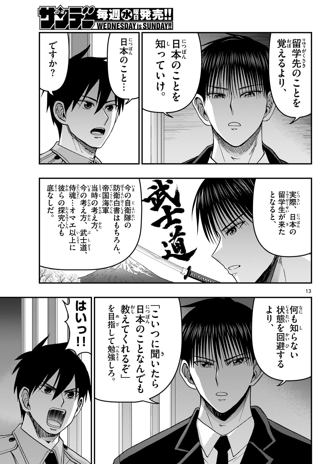 Page 13