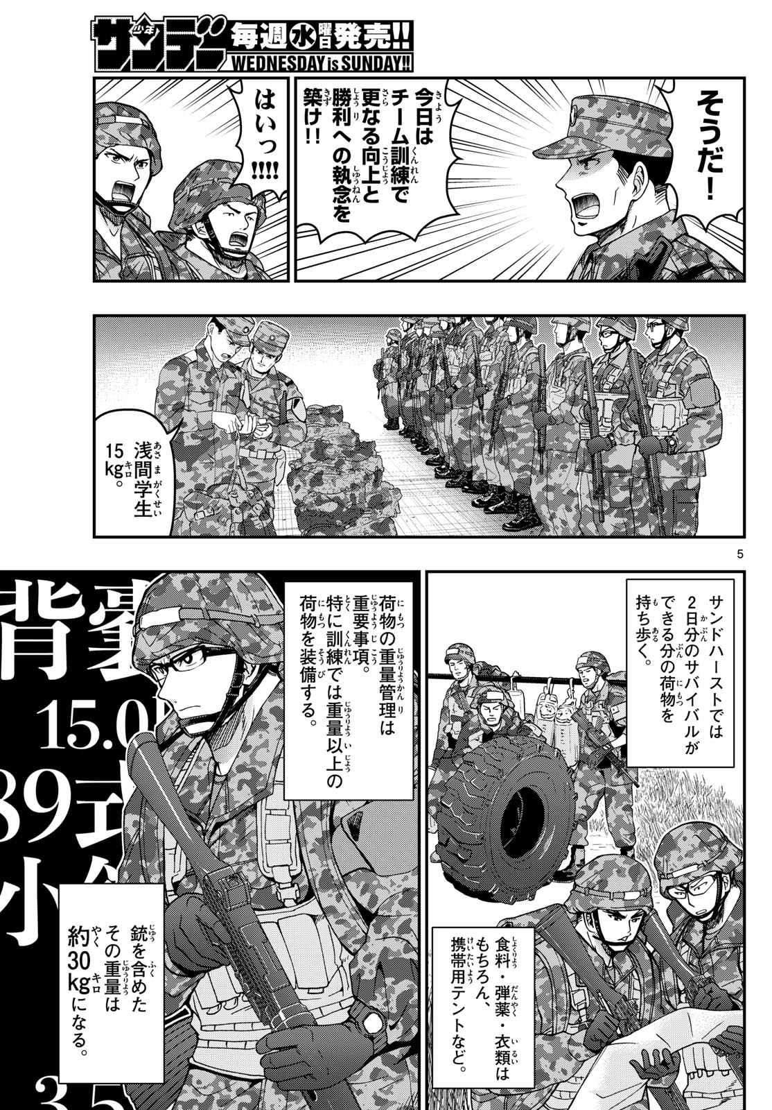 Page 5