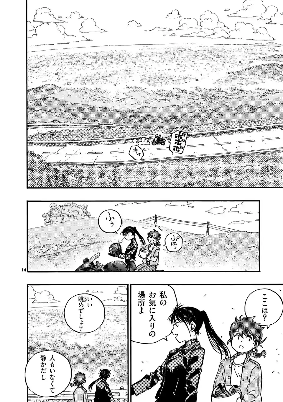 Page 14