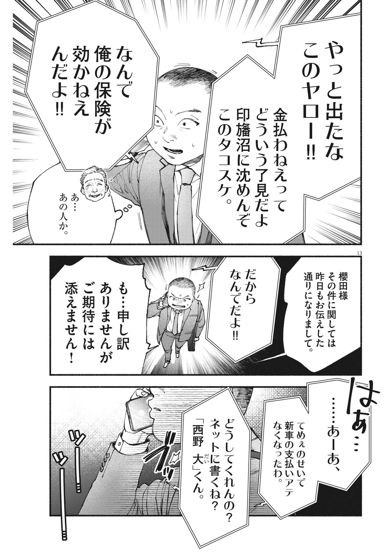 Page 13
