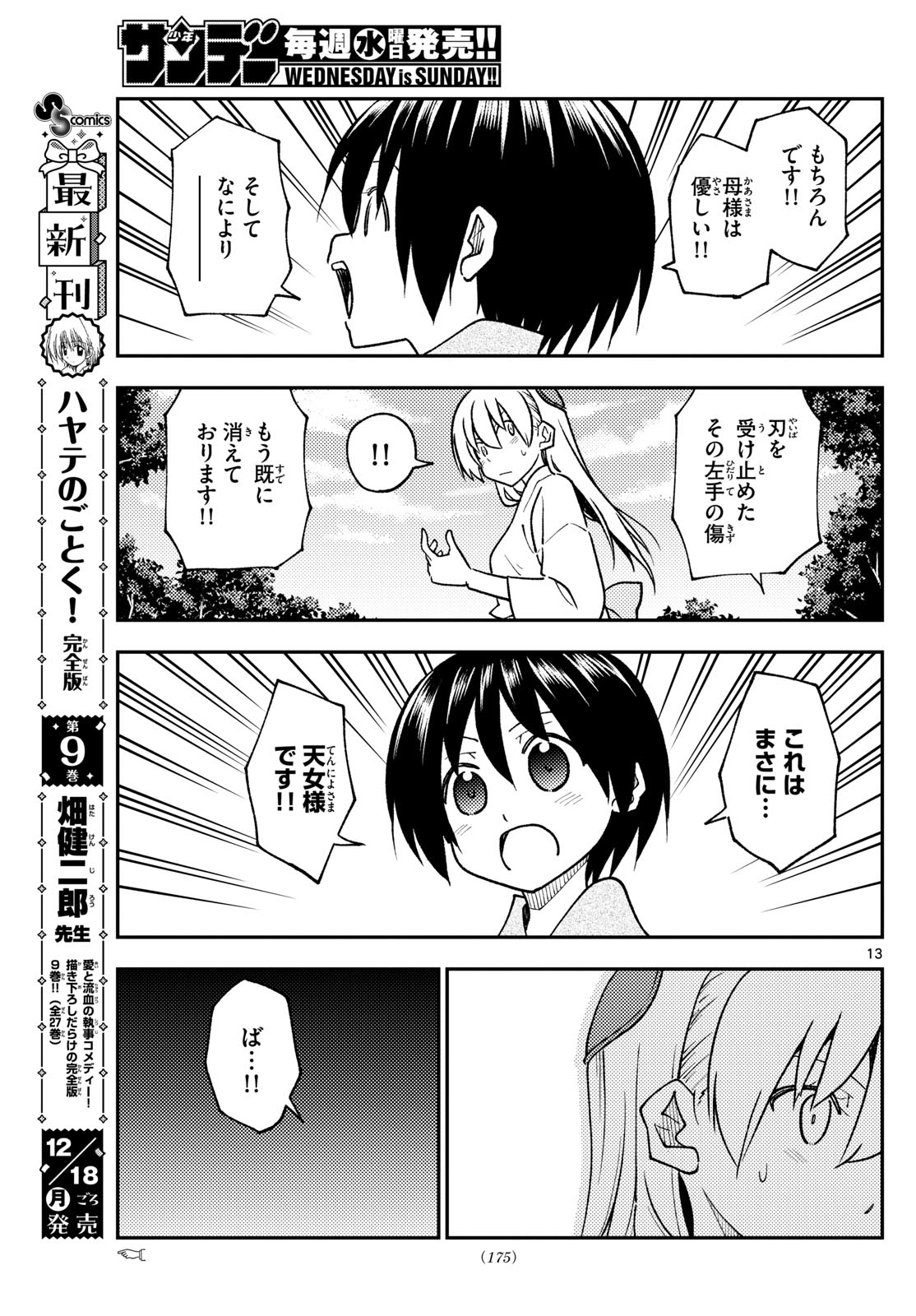 Page 13