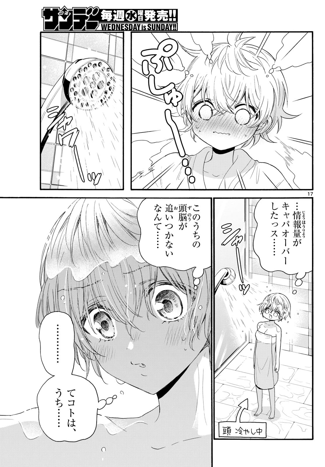 Page 17