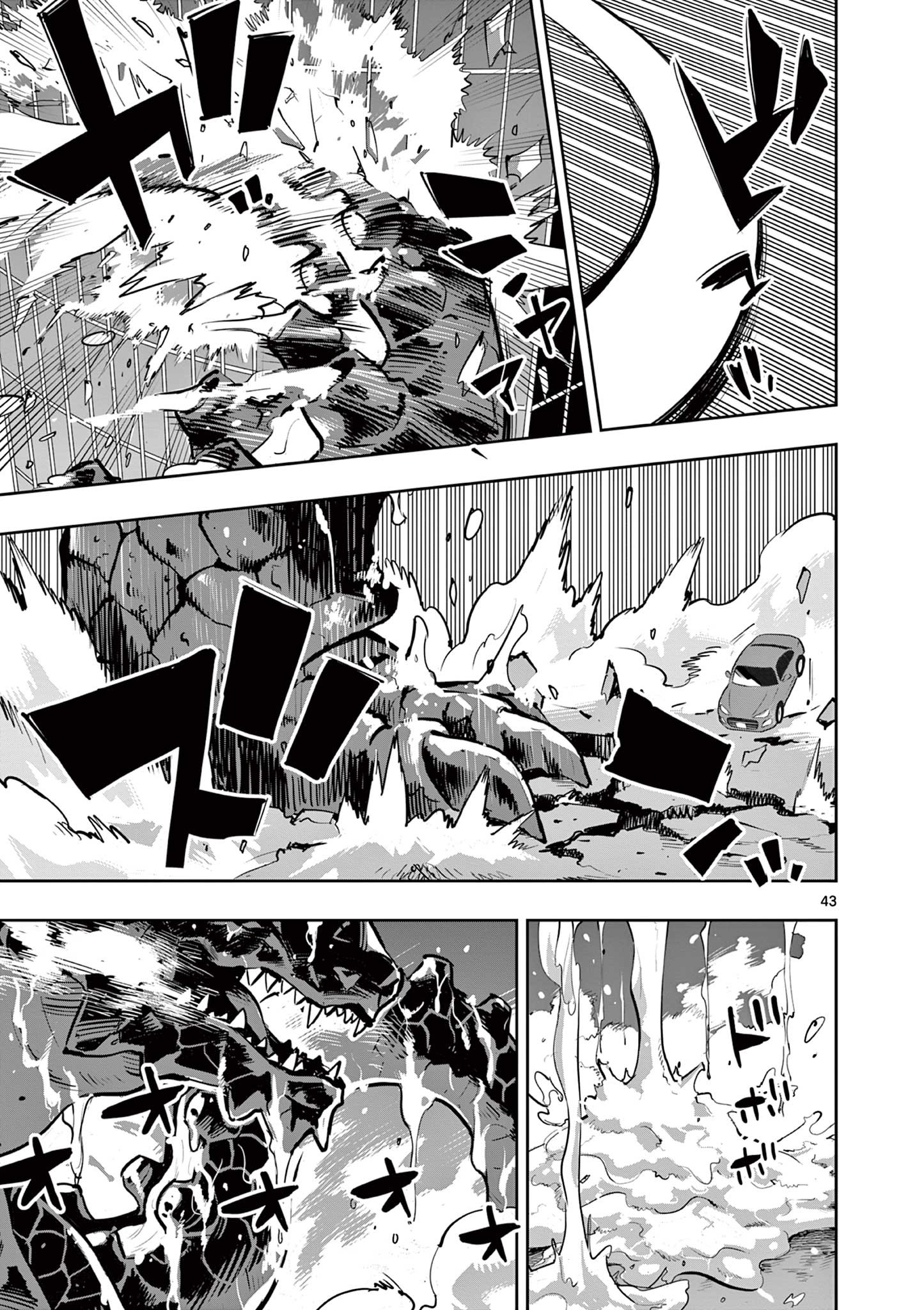 Page 43