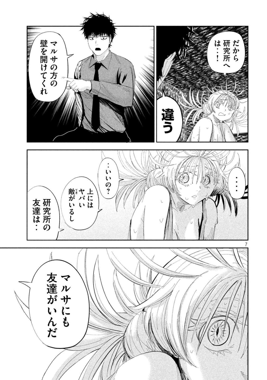 Page 7