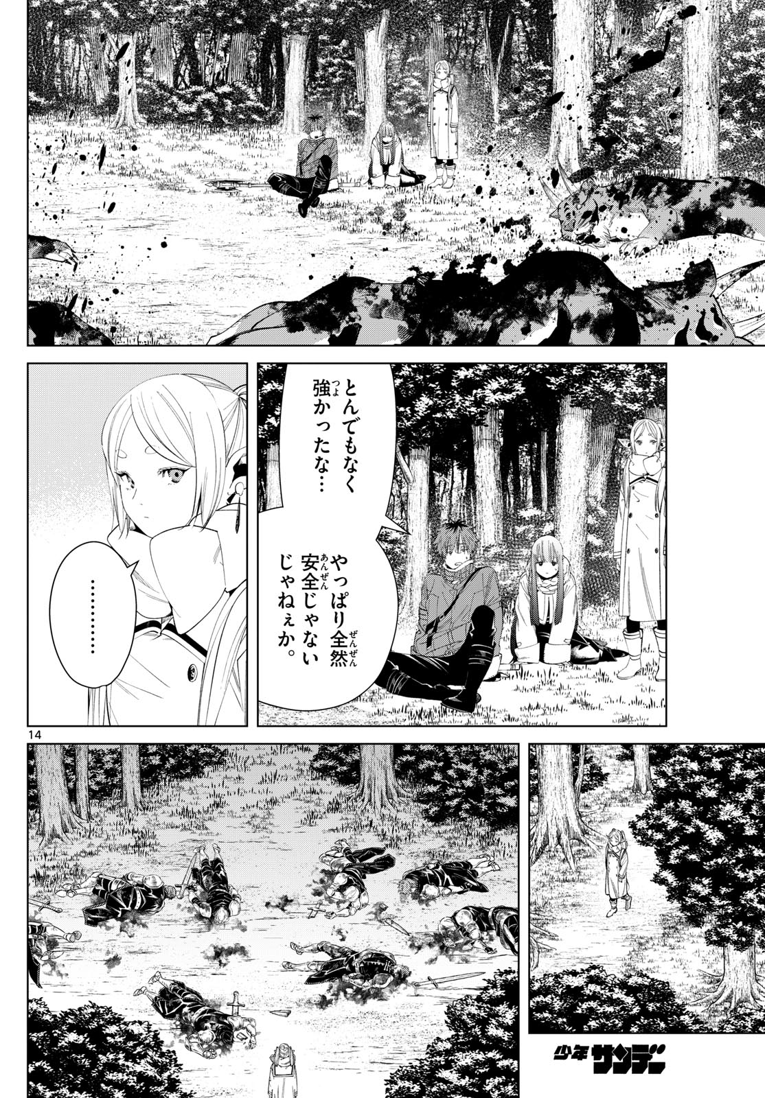 Page 14