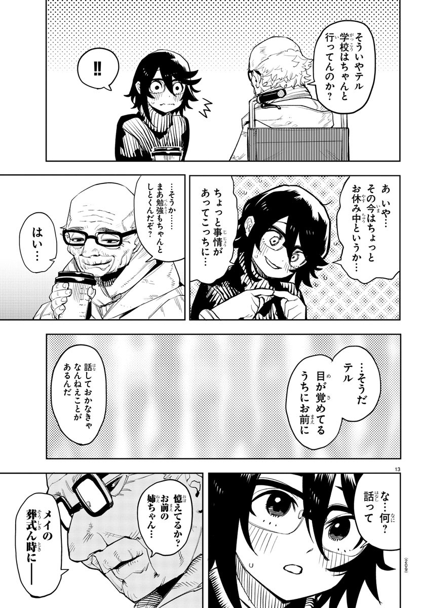 Page 13