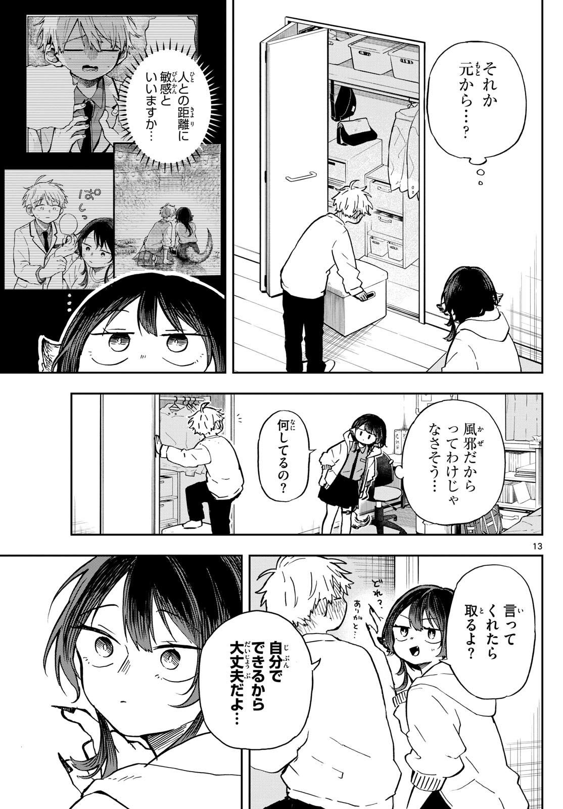 Page 13