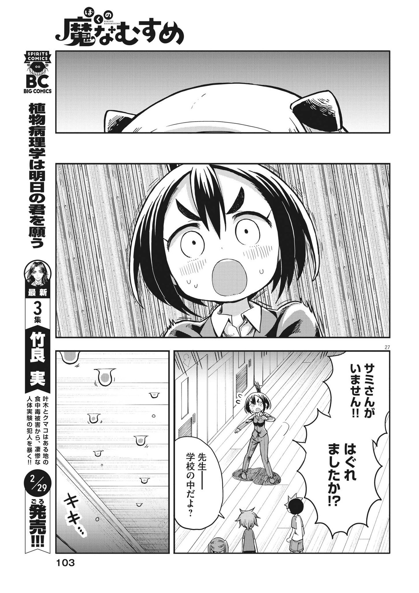 Page 27