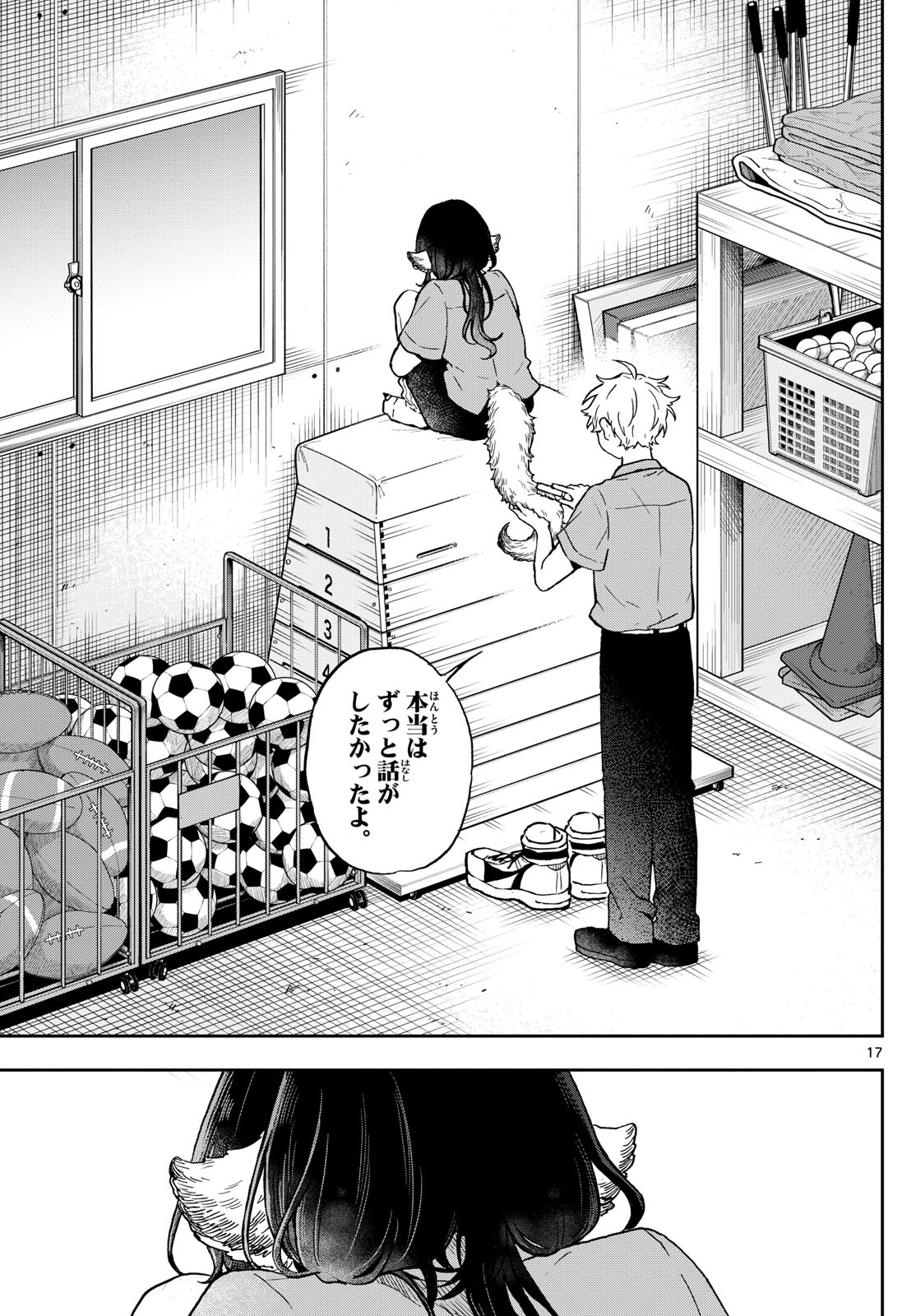 Page 17
