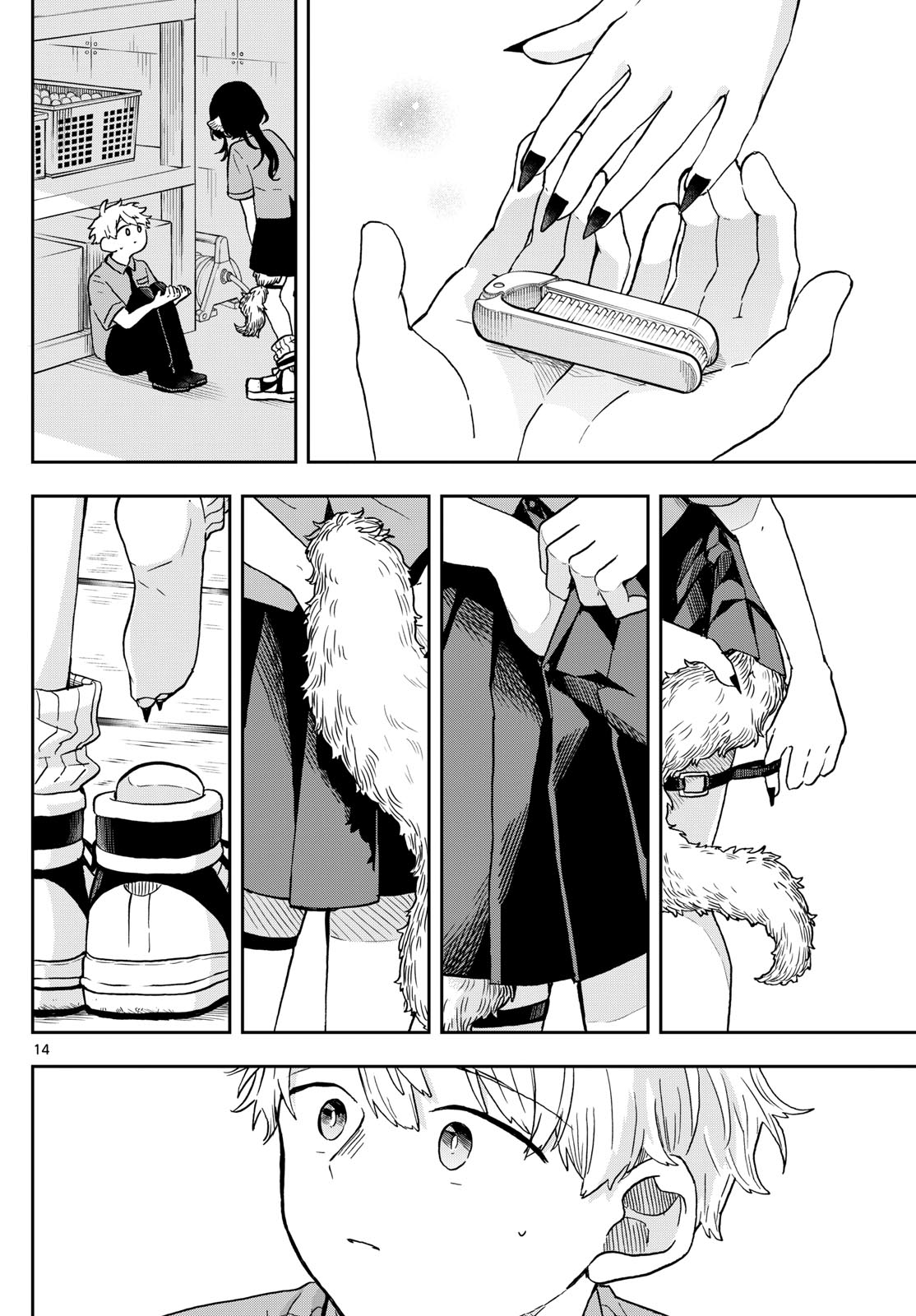 Page 14